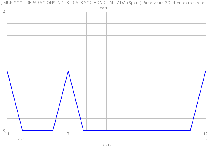 J.MURISCOT REPARACIONS INDUSTRIALS SOCIEDAD LIMITADA (Spain) Page visits 2024 