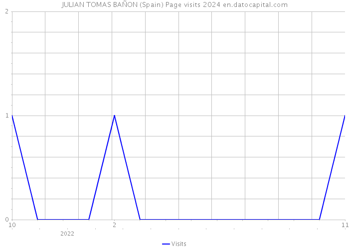 JULIAN TOMAS BAÑON (Spain) Page visits 2024 
