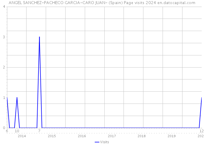ANGEL SANCHEZ-PACHECO GARCIA-CARO JUAN- (Spain) Page visits 2024 