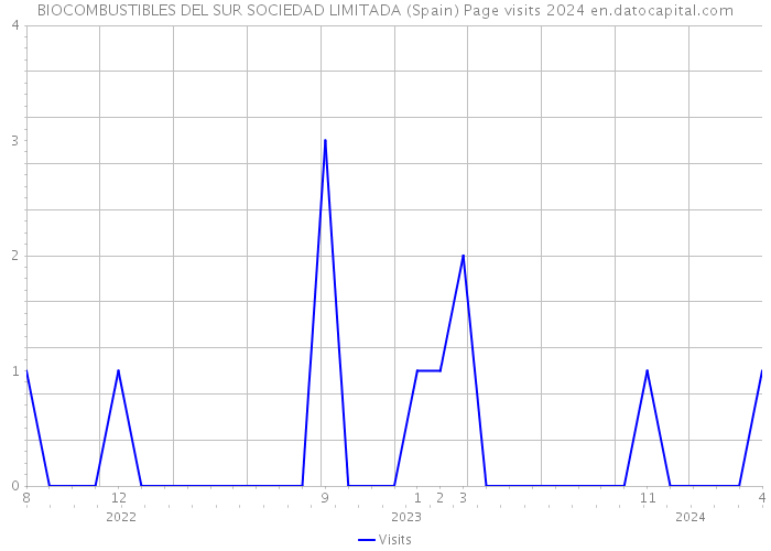 BIOCOMBUSTIBLES DEL SUR SOCIEDAD LIMITADA (Spain) Page visits 2024 