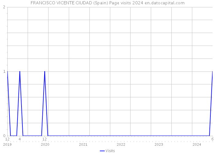 FRANCISCO VICENTE CIUDAD (Spain) Page visits 2024 