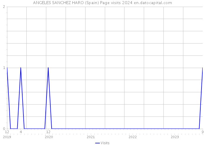 ANGELES SANCHEZ HARO (Spain) Page visits 2024 