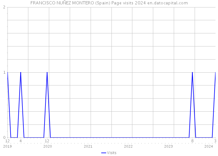 FRANCISCO NUÑEZ MONTERO (Spain) Page visits 2024 