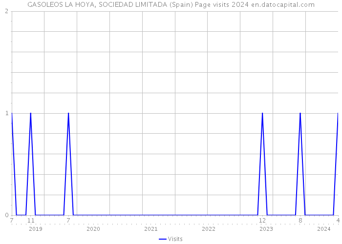 GASOLEOS LA HOYA, SOCIEDAD LIMITADA (Spain) Page visits 2024 