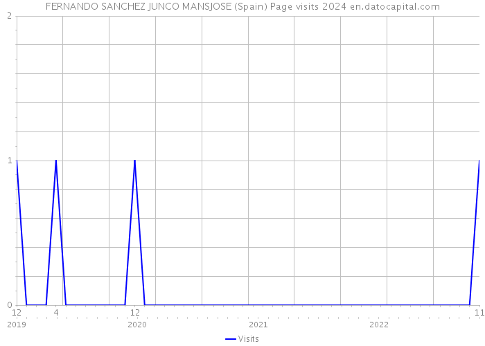 FERNANDO SANCHEZ JUNCO MANSJOSE (Spain) Page visits 2024 