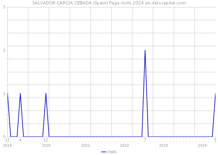 SALVADOR GARCIA CEBADA (Spain) Page visits 2024 