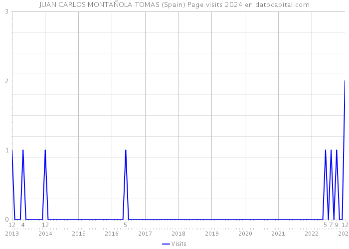 JUAN CARLOS MONTAÑOLA TOMAS (Spain) Page visits 2024 