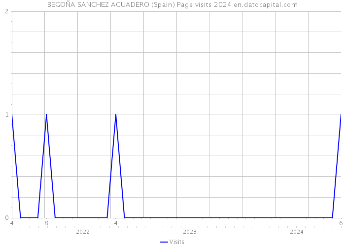 BEGOÑA SANCHEZ AGUADERO (Spain) Page visits 2024 