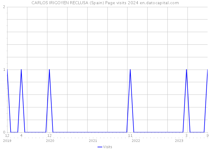 CARLOS IRIGOYEN RECLUSA (Spain) Page visits 2024 