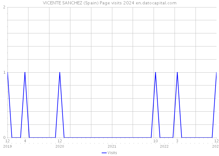 VICENTE SANCHEZ (Spain) Page visits 2024 