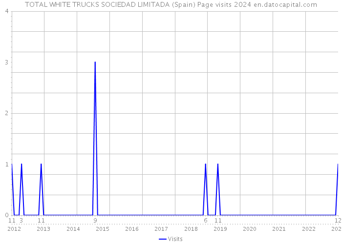 TOTAL WHITE TRUCKS SOCIEDAD LIMITADA (Spain) Page visits 2024 