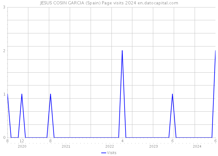 JESUS COSIN GARCIA (Spain) Page visits 2024 