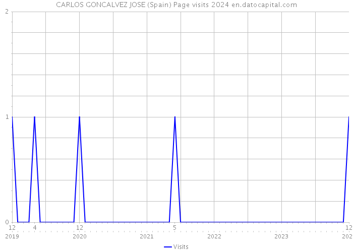 CARLOS GONCALVEZ JOSE (Spain) Page visits 2024 