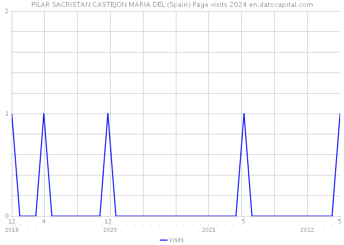 PILAR SACRISTAN CASTEJON MARIA DEL (Spain) Page visits 2024 