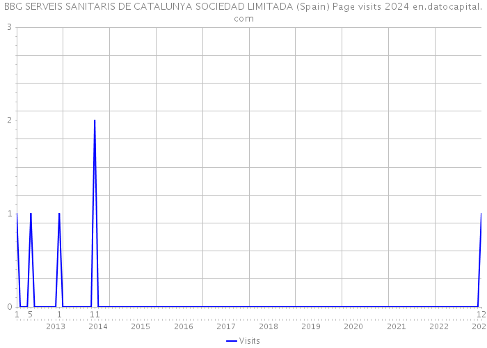 BBG SERVEIS SANITARIS DE CATALUNYA SOCIEDAD LIMITADA (Spain) Page visits 2024 