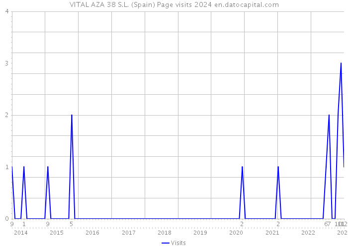 VITAL AZA 38 S.L. (Spain) Page visits 2024 