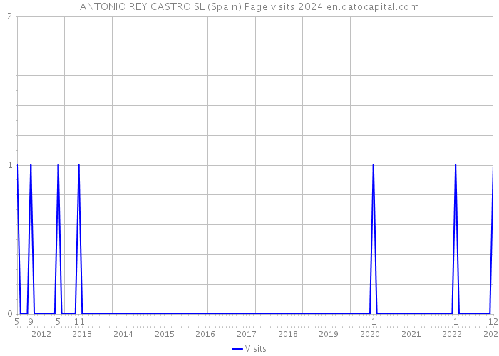 ANTONIO REY CASTRO SL (Spain) Page visits 2024 
