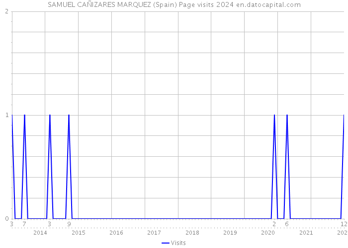 SAMUEL CAÑIZARES MARQUEZ (Spain) Page visits 2024 