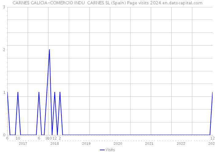 CARNES GALICIA-COMERCIO INDU CARNES SL (Spain) Page visits 2024 