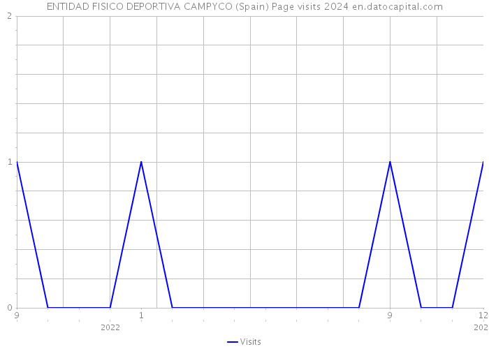 ENTIDAD FISICO DEPORTIVA CAMPYCO (Spain) Page visits 2024 