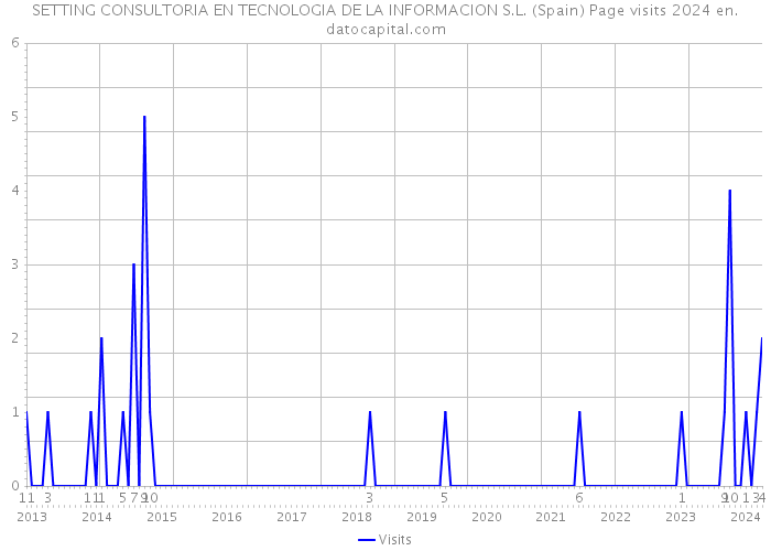 SETTING CONSULTORIA EN TECNOLOGIA DE LA INFORMACION S.L. (Spain) Page visits 2024 