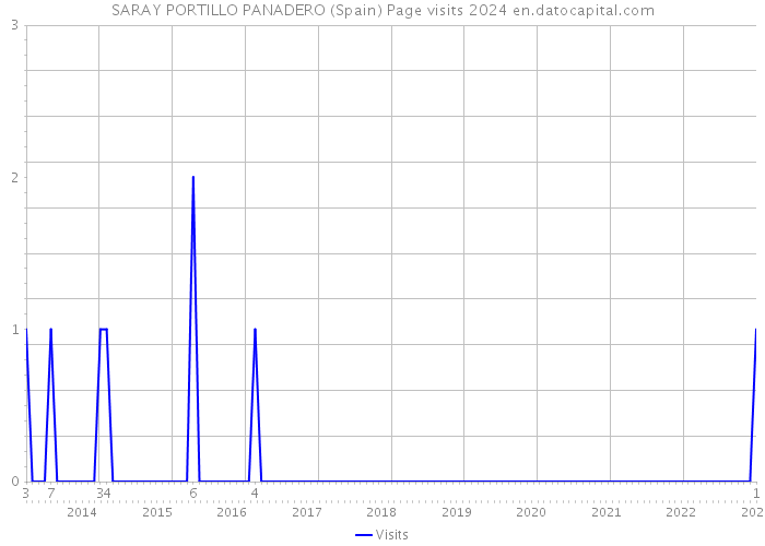 SARAY PORTILLO PANADERO (Spain) Page visits 2024 