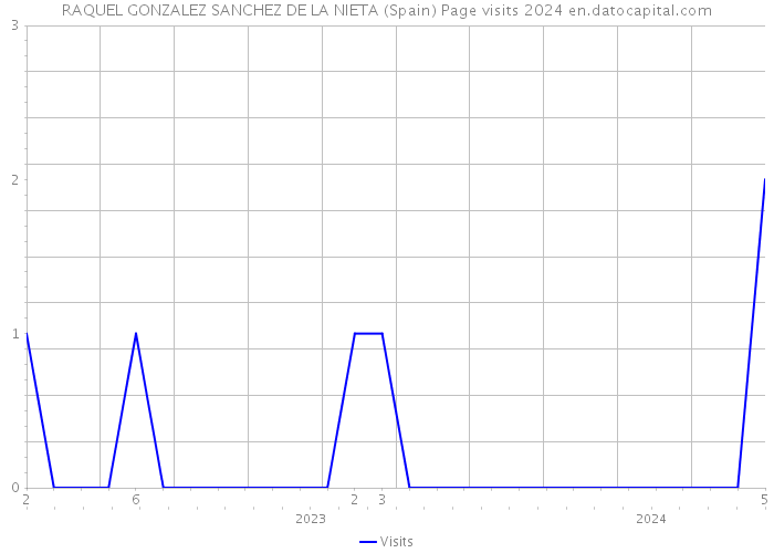 RAQUEL GONZALEZ SANCHEZ DE LA NIETA (Spain) Page visits 2024 