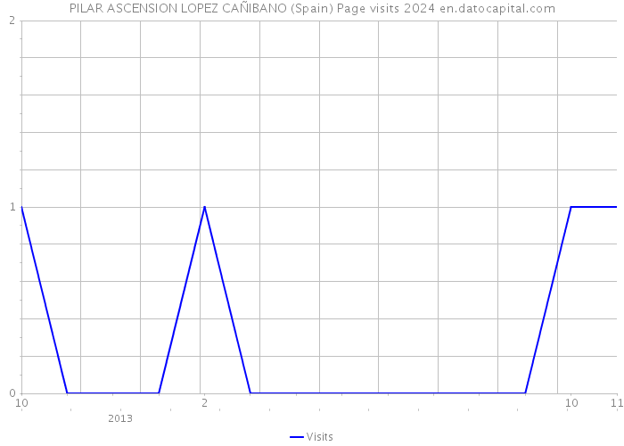 PILAR ASCENSION LOPEZ CAÑIBANO (Spain) Page visits 2024 