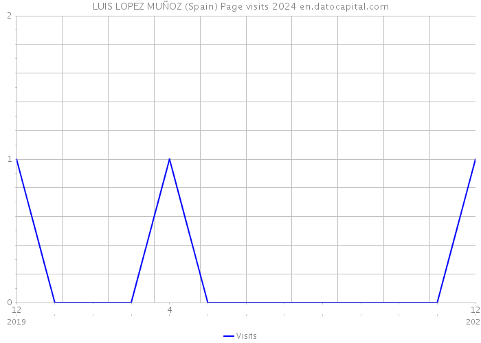 LUIS LOPEZ MUÑOZ (Spain) Page visits 2024 