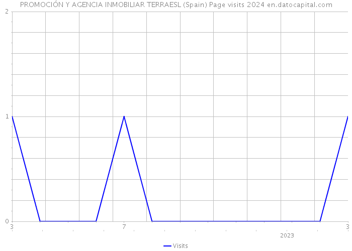 PROMOCIÓN Y AGENCIA INMOBILIAR TERRAESL (Spain) Page visits 2024 