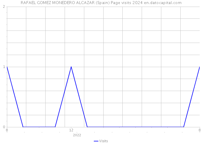 RAFAEL GOMEZ MONEDERO ALCAZAR (Spain) Page visits 2024 