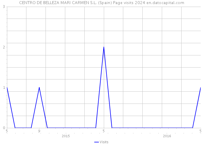 CENTRO DE BELLEZA MARI CARMEN S.L. (Spain) Page visits 2024 