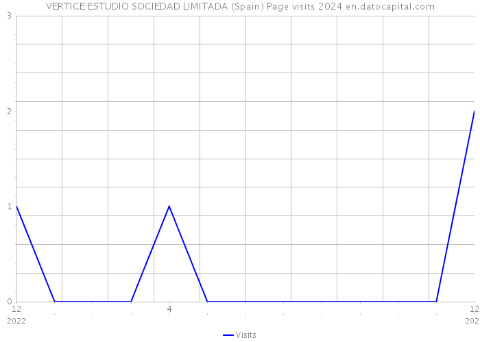 VERTICE ESTUDIO SOCIEDAD LIMITADA (Spain) Page visits 2024 