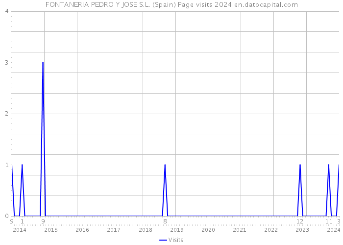 FONTANERIA PEDRO Y JOSE S.L. (Spain) Page visits 2024 