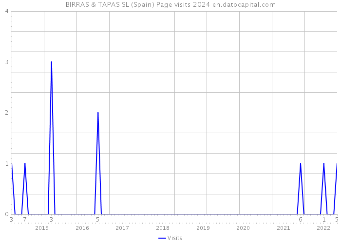 BIRRAS & TAPAS SL (Spain) Page visits 2024 
