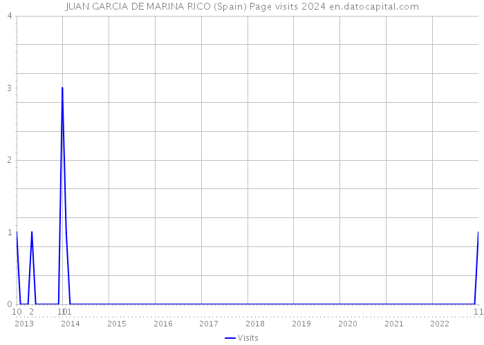 JUAN GARCIA DE MARINA RICO (Spain) Page visits 2024 