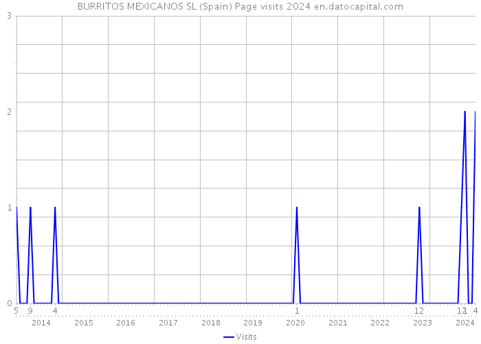BURRITOS MEXICANOS SL (Spain) Page visits 2024 
