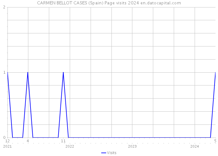 CARMEN BELLOT CASES (Spain) Page visits 2024 