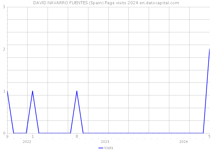 DAVID NAVARRO FUENTES (Spain) Page visits 2024 