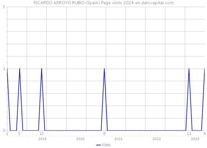 RICARDO ARROYO RUBIO (Spain) Page visits 2024 