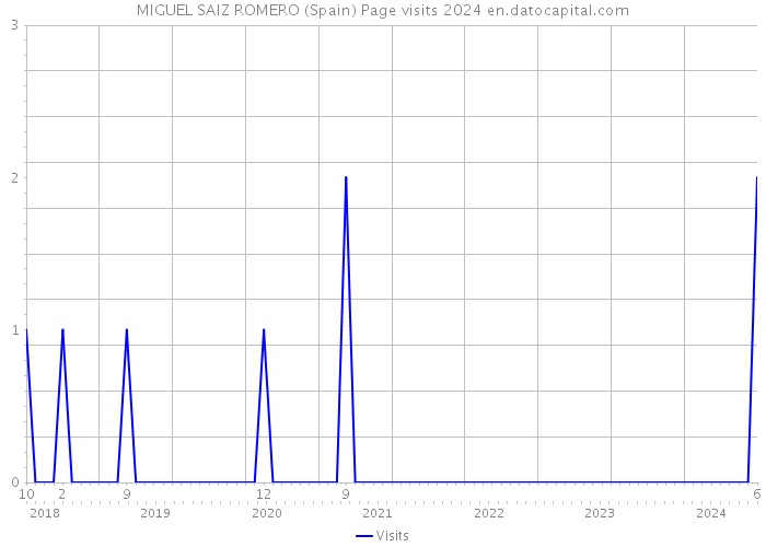 MIGUEL SAIZ ROMERO (Spain) Page visits 2024 