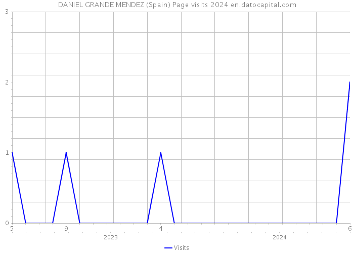 DANIEL GRANDE MENDEZ (Spain) Page visits 2024 