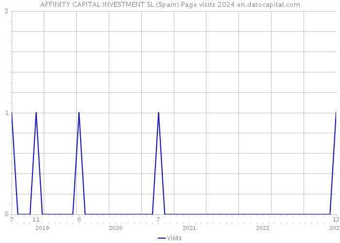 AFFINITY CAPITAL INVESTMENT SL (Spain) Page visits 2024 