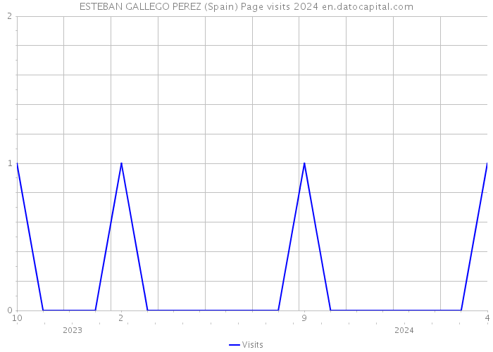 ESTEBAN GALLEGO PEREZ (Spain) Page visits 2024 