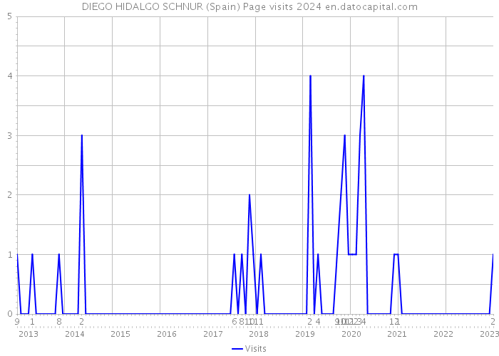 DIEGO HIDALGO SCHNUR (Spain) Page visits 2024 