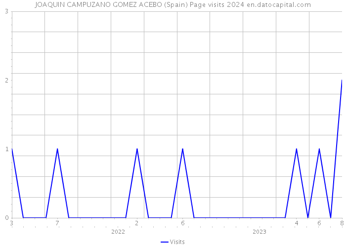 JOAQUIN CAMPUZANO GOMEZ ACEBO (Spain) Page visits 2024 