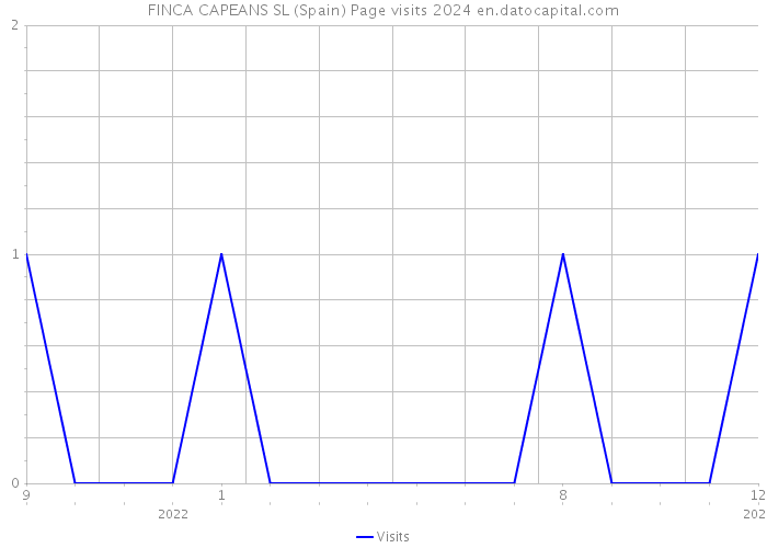 FINCA CAPEANS SL (Spain) Page visits 2024 