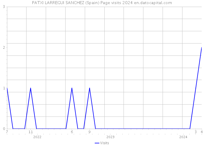 PATXI LARREGUI SANCHEZ (Spain) Page visits 2024 