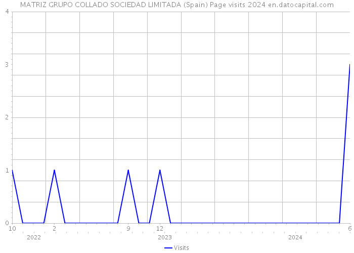 MATRIZ GRUPO COLLADO SOCIEDAD LIMITADA (Spain) Page visits 2024 