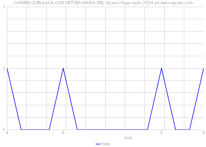 CARMEN ZUBILLAGA GOIKOETXEA MARIA DEL (Spain) Page visits 2024 